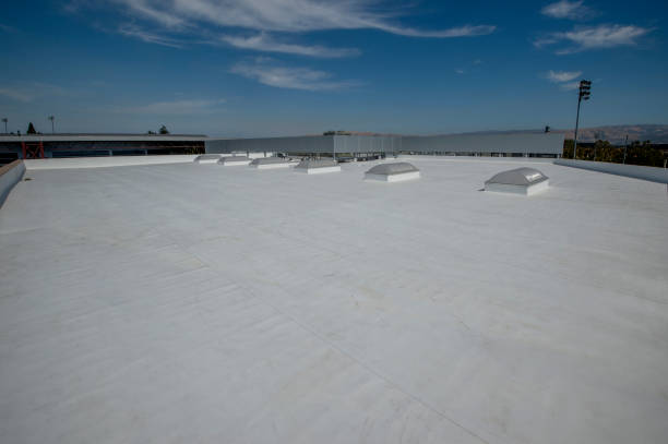 Best Gutter Installation and Repair  in Ferndale, MD