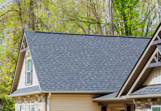Best Roof Maintenance and Cleaning  in Ferndale, MD